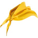 Pañuelo triangular cuello 404003 | VELILLA
