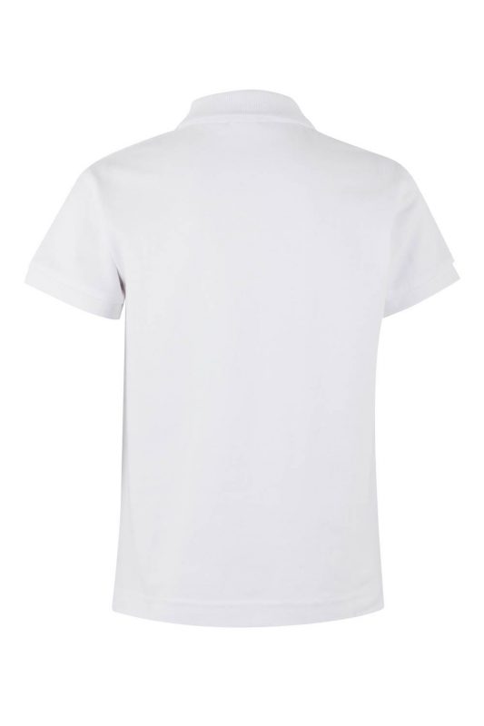 ps200kw 100 2 e1738269339194